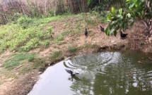 nghe an truot chan nga xuong ao 2 be gai duoi nuoc thuong tam