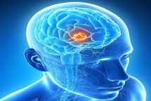 phat hien thuoc khien cac te bao ung thu tu huy diet