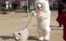 14 dieu ky quac ma ban chi co the tim thay o nhat ban