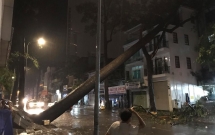 mua to kem sam set kinh hoang cay co thu bat goc do sap vao nha dan o sai gon khien nhieu nguoi so hai