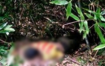 phat hien thi the nam thanh nien nam sap trong bui cay nghi an la ngon tu tu