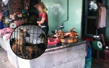 nguoi ban thit cho o sai gon co den 80 90 la cho bi trom hoac bi danh thuoc