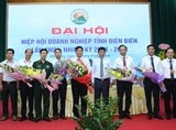 dai hoi hiep hoi doanh ngiep tinh dien bien lan thu i