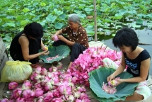 phu nu den thang khong duoc uop che sen quang an