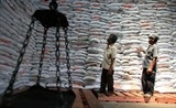 viet nam trung thau xuat khau 1 trieu tan gao cho indonesia