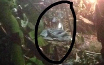 thi the cu ba 80 tuoi bi sat hai giau trong bao tai