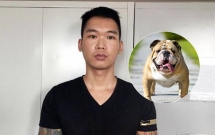 ha noi nam thanh nien bi tam giu sau khi bat 2 con cho bulldog de gay ap luc do i tien no 30 trieu dong