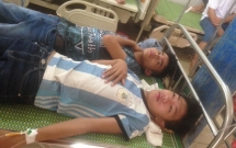 nhieu hoc sinh thpt o nghe an nhap vien vi hang nghin con ong tan cong tren duong den truong