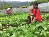 hki nang cao kien thuc ve dinh duong doi voi phu nu mang thai va tre em