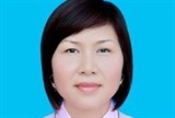 thai binh dinh chi dai bieu hdnd tinh vi bi khoi to