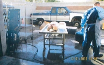 theo chan phong vien reuters di tim su that dang sau nhung cong ty buon noi tang nguoi tai my