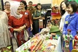 viet nam tham du hoi cho tu thien quoc te tai indonesia