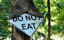 15 khoanh khac chung to me thien nhien dang hon con nguoi mot chut khong he nhe