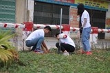 gioi tre ha noi hang hai tham gia trong 1000 cay phu xanh thu do