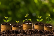 vinafreight mua 20 von cua ctcp cang mipec