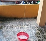 benh vien y hoc co truyen hue xo thanh cong san xo mit dai khoang 10m o co the nguoi nhieu nam