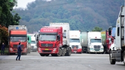 thong quan cham gan 700 container nong san van nam cho o cua khau