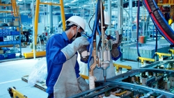 bi nghi viec vi dich covid 19 nguoi lao dong duoc huong nhung quyen loi gi