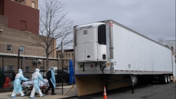 my bao cao so ca tu vong vi covid 19 cao ky luc hon 1800 ca trong 24 gio