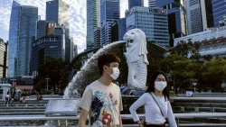 singapore them hon 1400 ca nhiem covid 19 moi