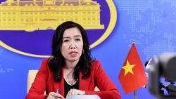 viet nam bac bo quyet dinh cam danh bat ca cua trung quoc o bien dong