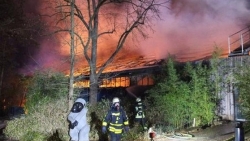 hoa hoan dem giao thua khien toan bo khi trong so thu duc chet chay