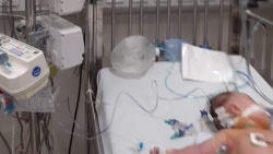 ha noi uong sua non pha cung sua me be gai 3 thang tuoi nguy kich