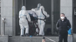 tphcm phat hien 2 nguoi trung quoc nhiem virus corona