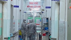 viet nam huy toan bo chuyen bay den vu han trung quoc vi virus corona