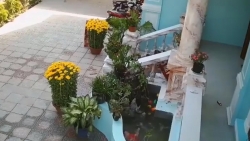 video be trai nga nhao xuong be nuoc suyt chet duoi ngay mung 1 tet