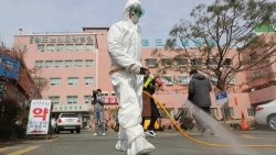 viet nam khan truong trien khai bao ho cong dan tai han quoc