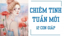 chiem tinh tuan moi 183 243 cua 12 con giap tuoi thin chi tieu nhieu