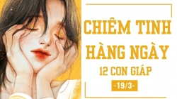 chiem tinh hang ngay 193 6 dieu nen va khong nen cua 12 con giap