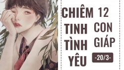 chiem tinh hom nay 203 ve tinh yeu cua 12 con giap tuoi ty co nguoi theo duoi