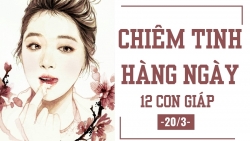 chiem tinh hang ngay 203 6 dieu nen va khong nen cua 12 con giap