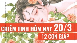 chiem tinh hom nay 2032019 cua 12 con giap tuoi mui ich ky