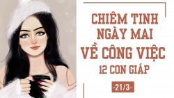 chiem tinh ngay mai 213 ve cong viec cua 12 con giap tuoi thin choi nhieu hon lam
