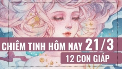 chiem tinh hom nay 2132019 cua 12 con giap tuoi suu gap may