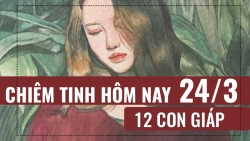 chiem tinh hom nay 2532019 cua 12 con giap tuoi hoi mat ngu