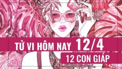 tu vi hom nay 1242019 cua 12 con giap tuoi mui chiu dung mot minh