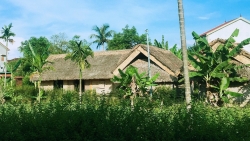 thang 5 ve tham lang sen que bac ngan ngat huong thom