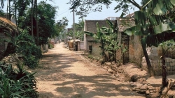 quay nguoc thoi gian ve tham lang tranh dong ho nam 1992