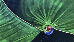 nhiep anh gia viet gianh giai nhat o cuoc thi quoc te ve moi truong