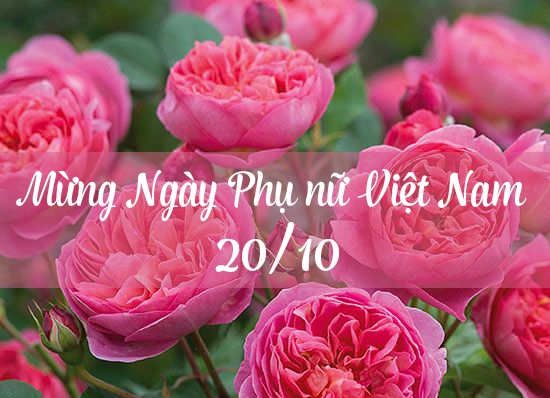 Lời chúc 20/10 hay nhất