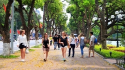 9 tuyen pho quanh ho guom duoc thi diem cam xe 2424 trong 1 thang