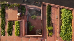 vuon rau 7 bac thang tren mai nha o quang ngai len bao nuoc ngoai