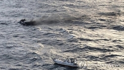 sau thuyen vien viet nam mat tich trong vu chay tau o han quoc