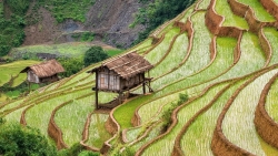 ruong bac thang mu cang chai dep hung vi duoi ong kinh du khach nuoc ngoai