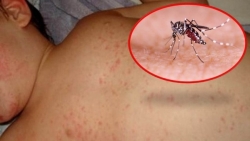 cac nuoc chau a doi pho voi dich sot xuat huyet bung phat bat thuong