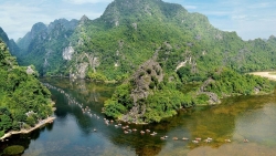 can tet nguyen dan gia ve tham quan trang an tang 25